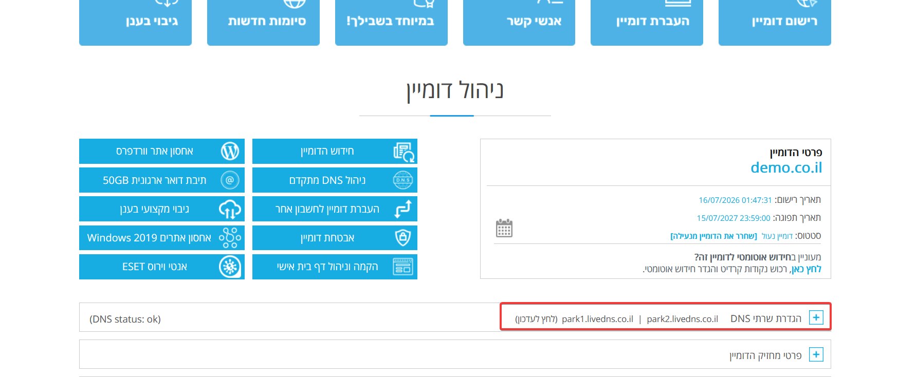 ניהול דומיין ב-LiveDNS